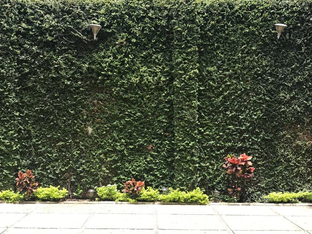 Real Avenida Hotel Тустла-Ґутьєррес Екстер'єр фото